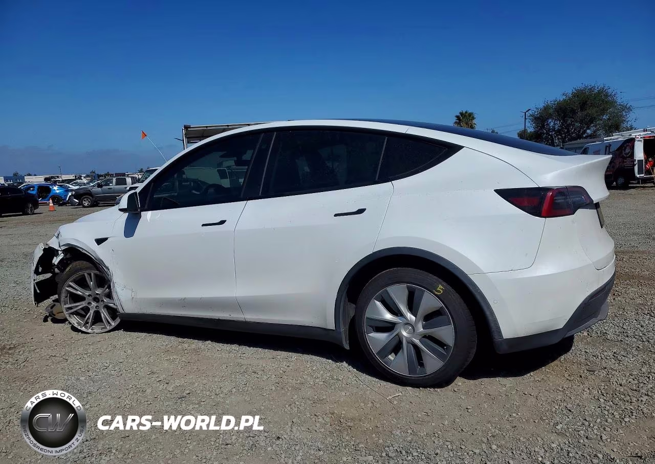 2022 Tesla Model Y VIN:7SAYGDEE3NF407834 - 2
