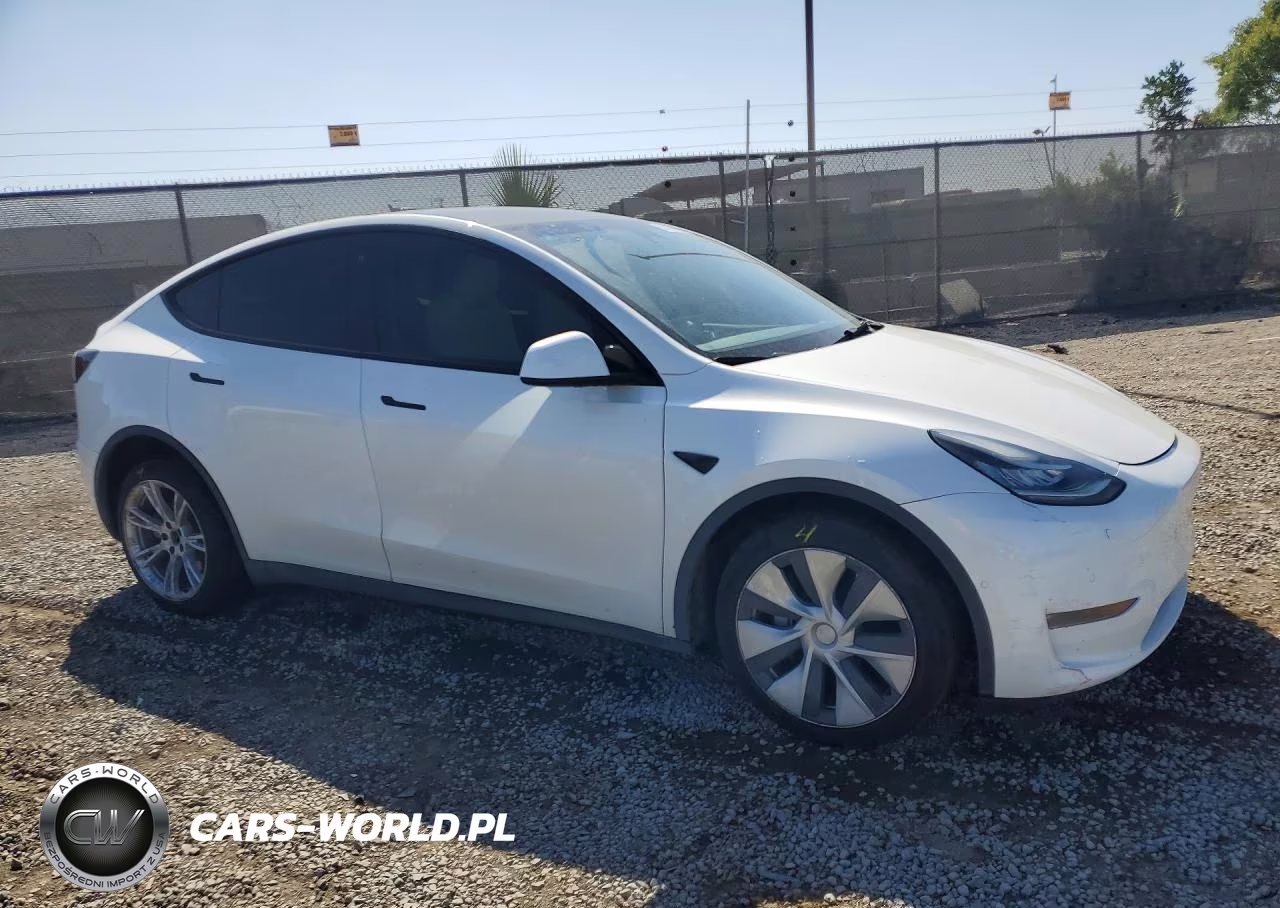 2022 Tesla Model Y VIN:7SAYGDEE3NF407834 - 4