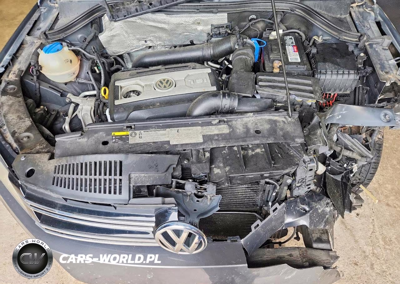 2014 Volkswagen Tiguan S VIN:WVGAV3AX4EW616514 - 12