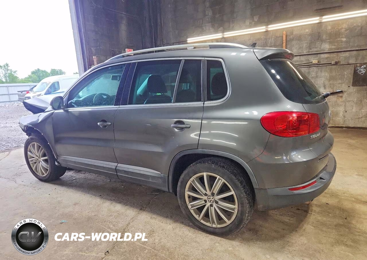2014 Volkswagen Tiguan S VIN:WVGAV3AX4EW616514 - 2
