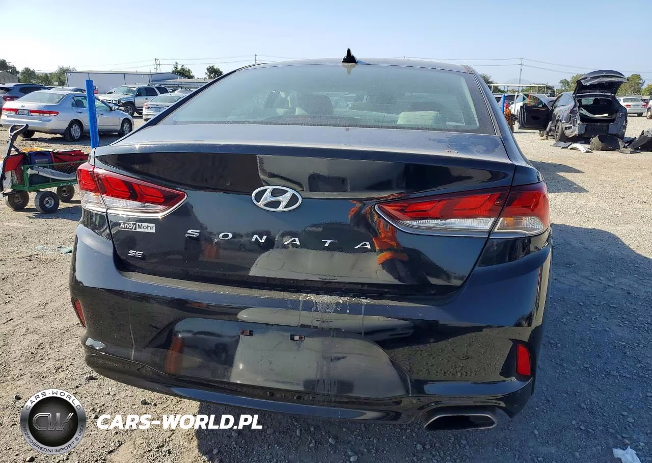 2019 Hyundai Sonata Se VIN:5NPE24AF2KH769275 - 6