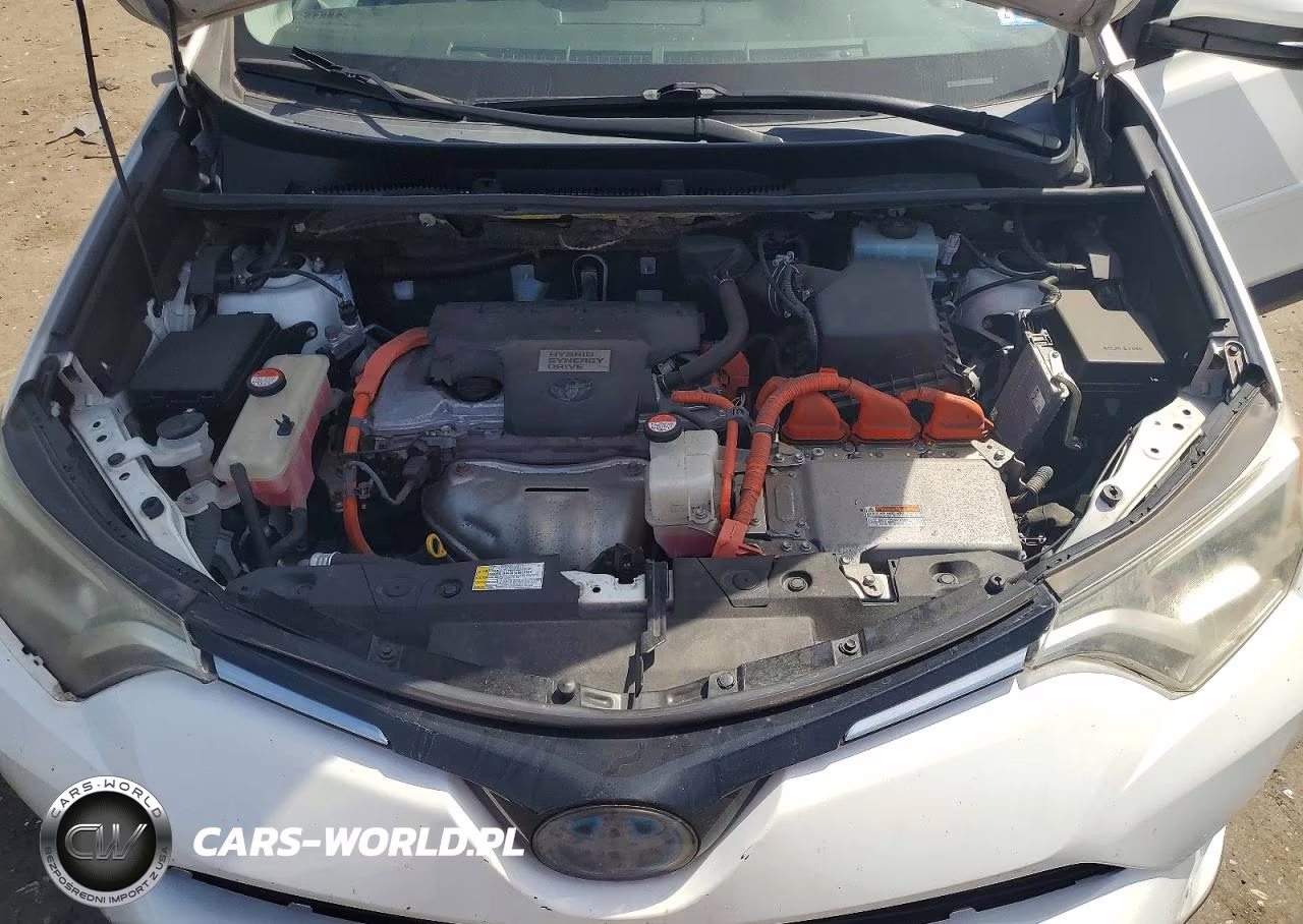 2016 Toyota Rav4 Hv Xle VIN:JTMRJREV3GD024745 - 12
