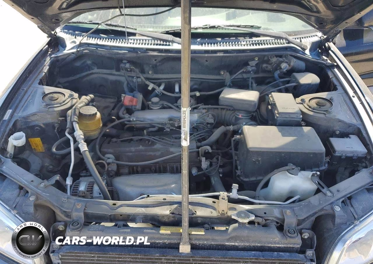 1998 Toyota Rav4 Base VIN:JT3GP10V2W0025300 - 11