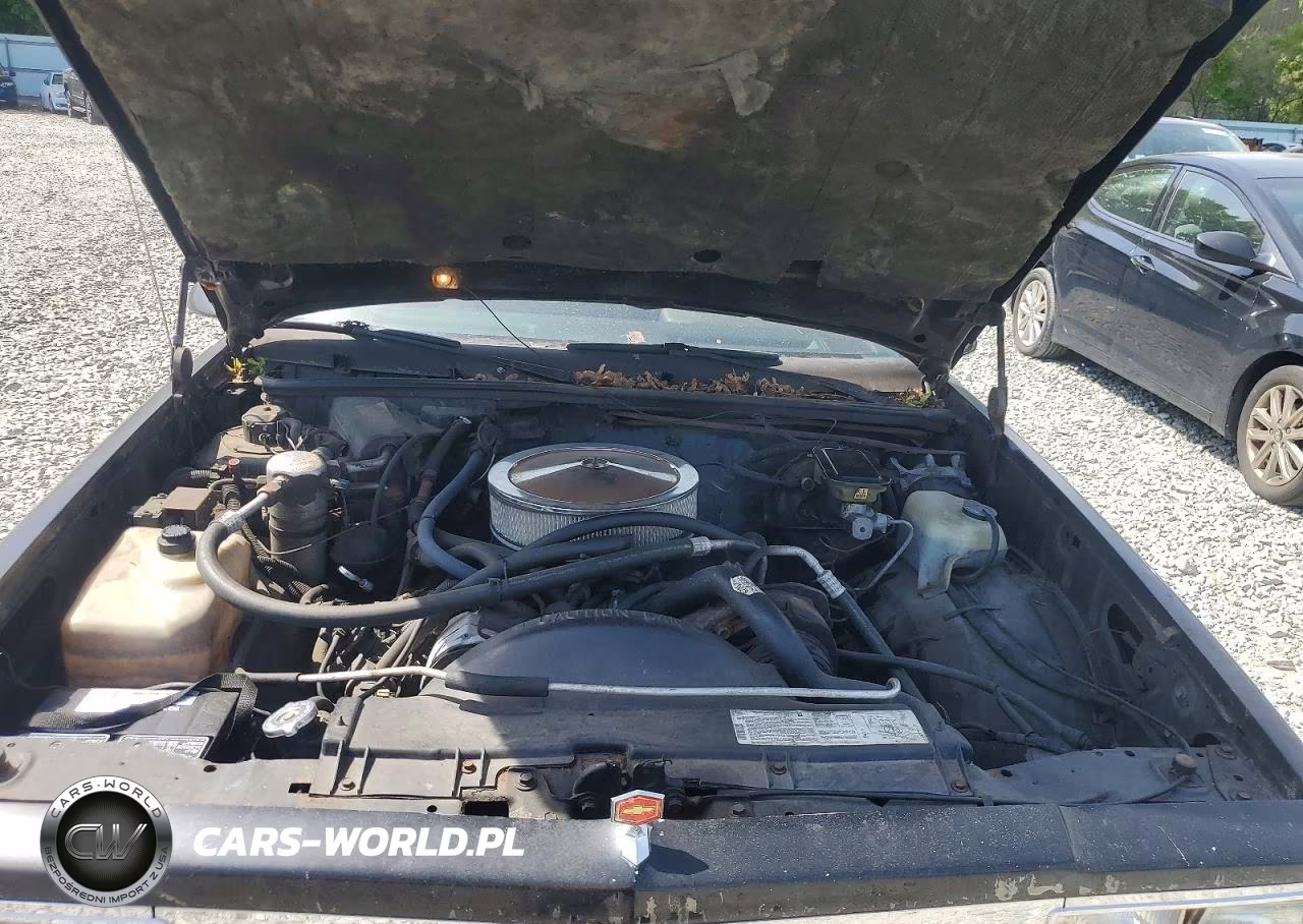 1987 Chevrolet El Camino VIN:3GCCW80H4HS915583 - 11
