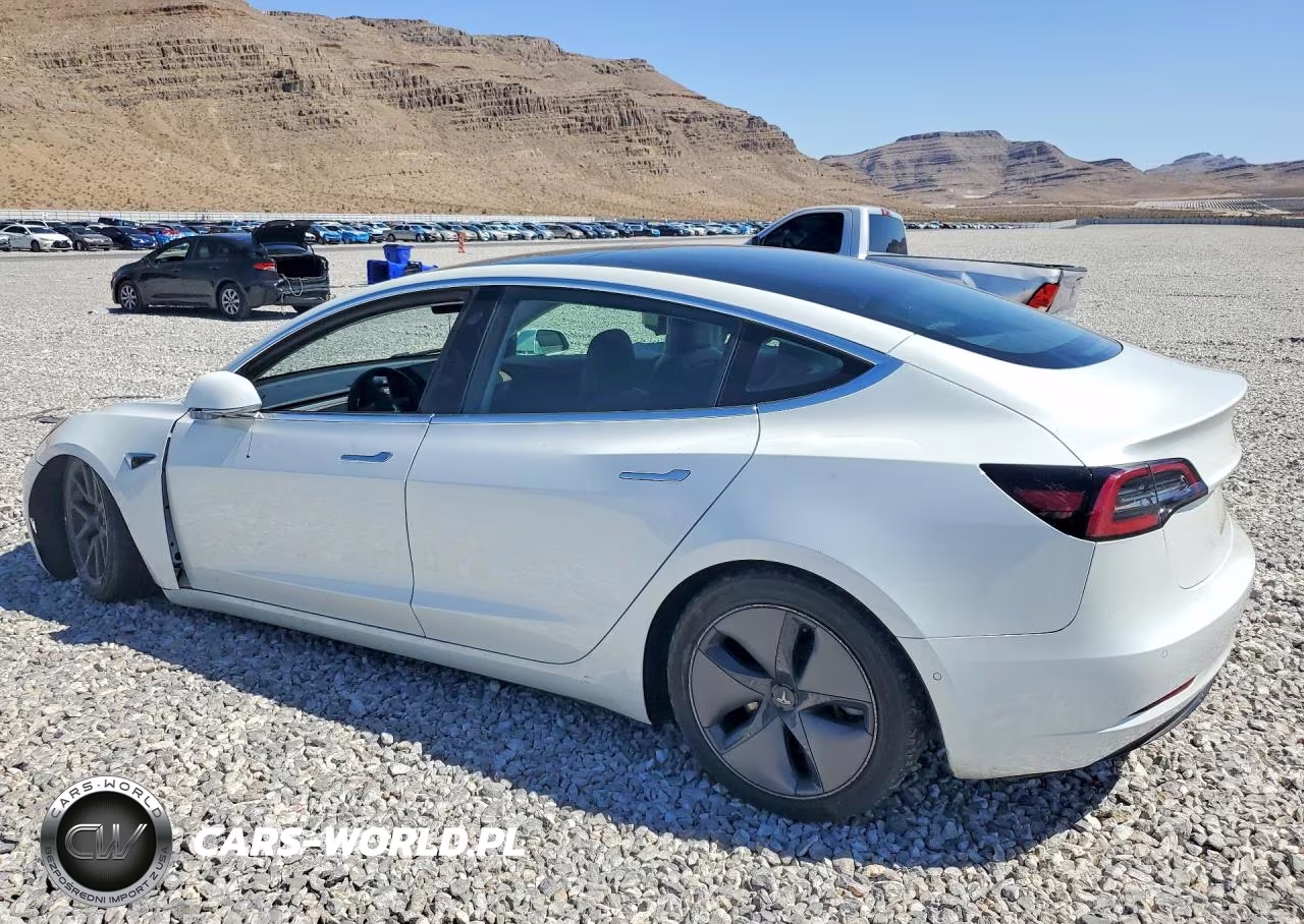 2020 Tesla Model 3 VIN:5YJ3E1EA8LF504775 - 2