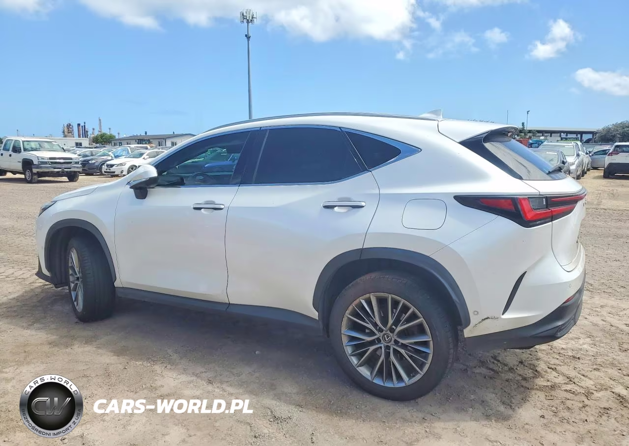 2022 Lexus Nx 350H VIN:JTJHKCEZ9N2002263 - 2