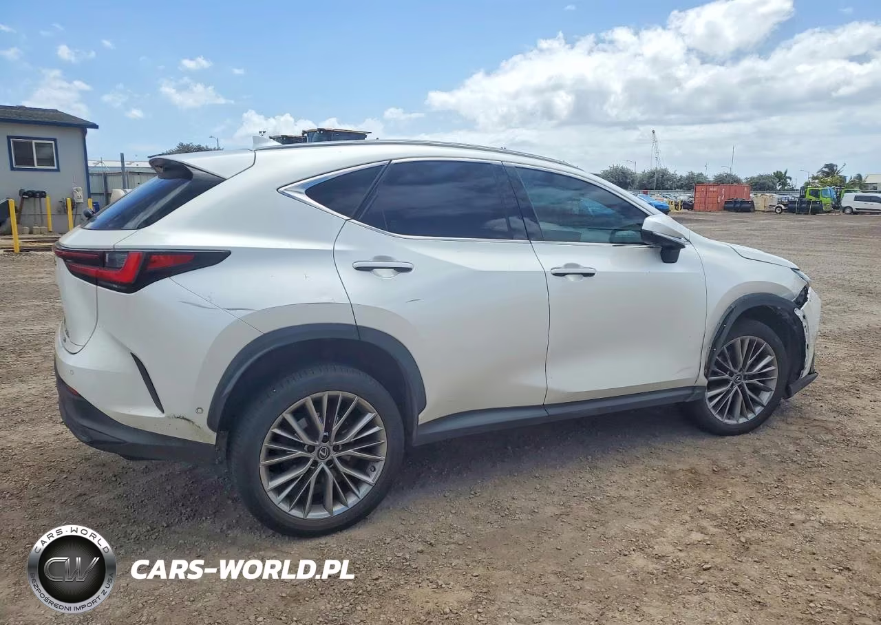 2022 Lexus Nx 350H VIN:JTJHKCEZ9N2002263 - 3