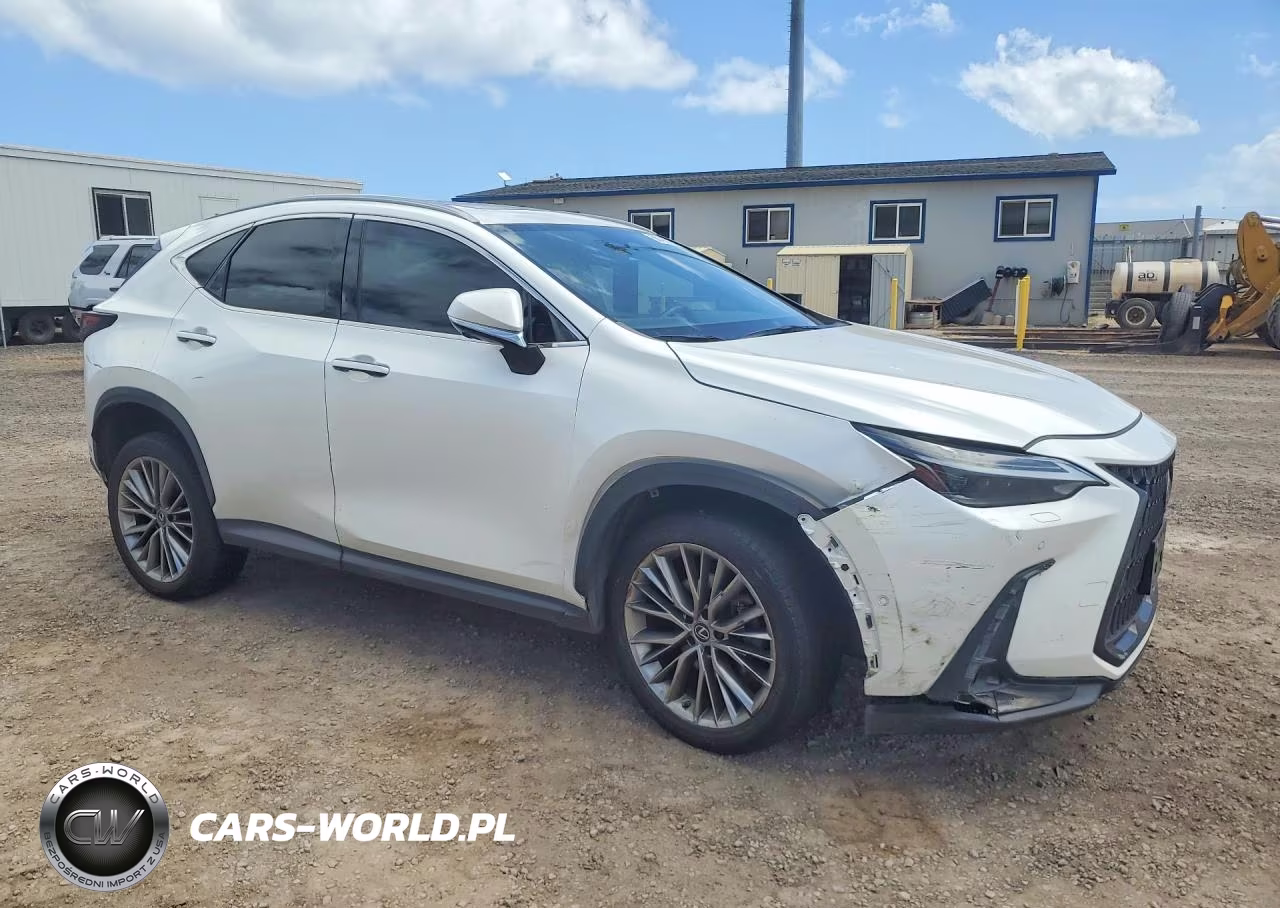 2022 Lexus Nx 350H VIN:JTJHKCEZ9N2002263 - 4