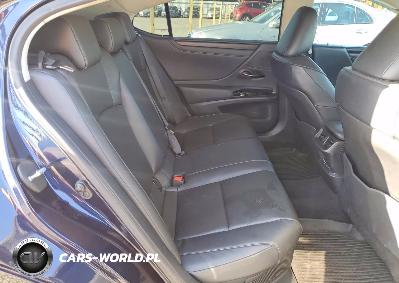 2024 Lexus Es 300H Base VIN:58ADA1C16RU053028 - 10