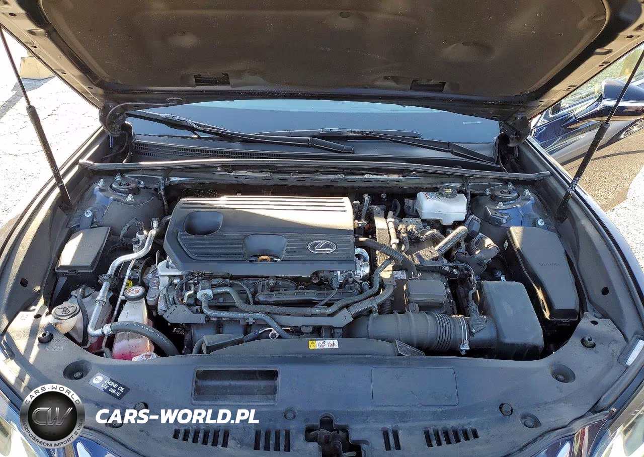 2024 Lexus Es 300H Base VIN:58ADA1C16RU053028 - 11