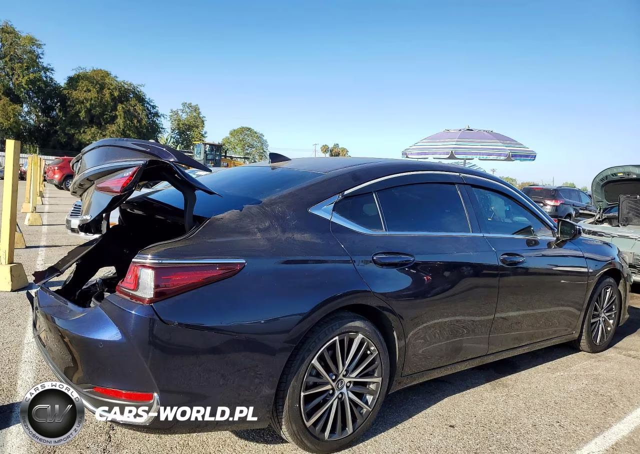 2024 Lexus Es 300H Base VIN:58ADA1C16RU053028 - 3