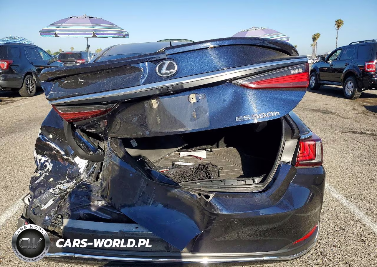 2024 Lexus Es 300H Base VIN:58ADA1C16RU053028 - 6