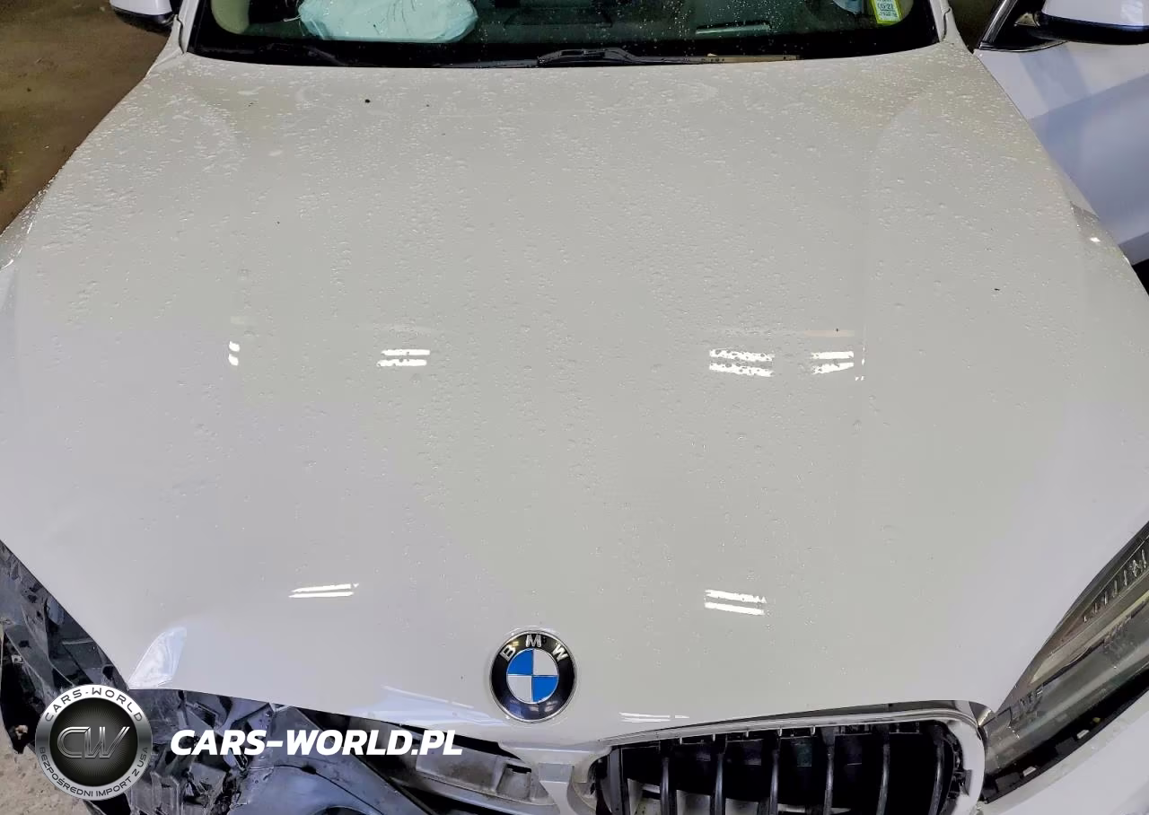 2015 BMW X5 xDrive35I VIN:5UXKR0C59F0K69255 - 12