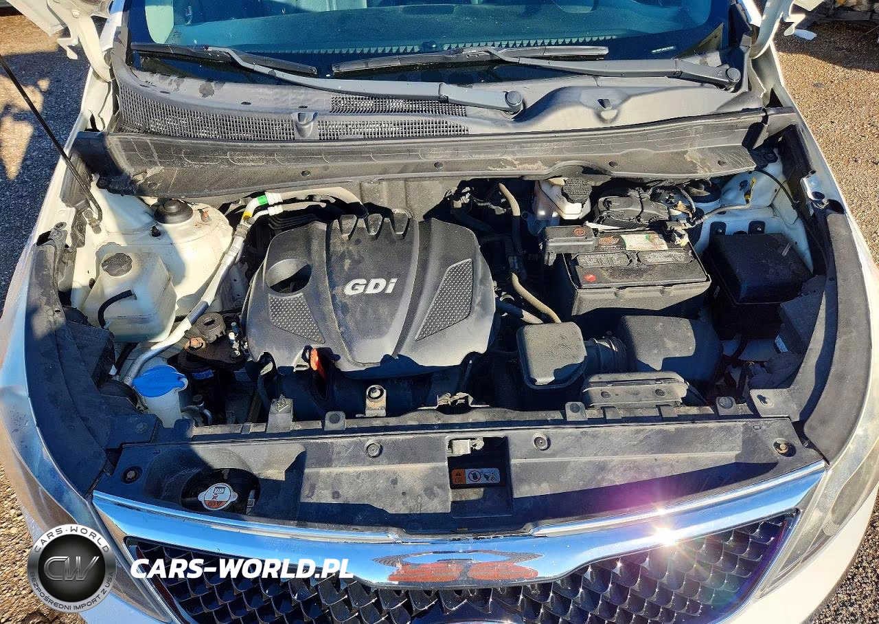 2014 Kia Sportage Ex VIN:KNDPC3AC3E7657552 - 11