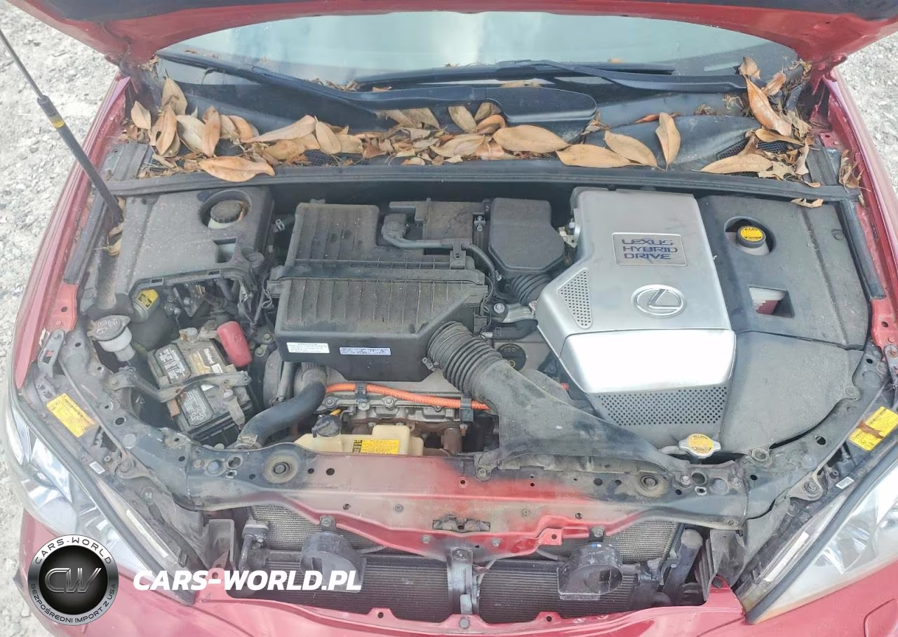 2008 Lexus Rx 400H VIN:JTJGW31U382007165 - 12