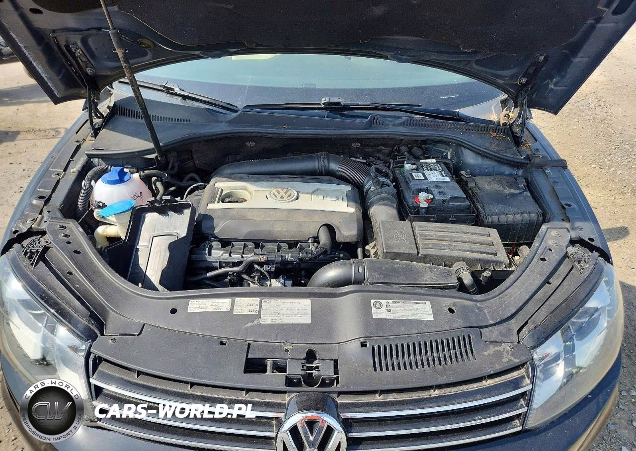 2012 Volkswagen Eos Lux VIN:WVWFW7AH1CV021761 - 11
