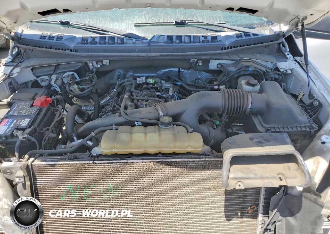 2020 Ford F150 Supercrew VIN:1FTEW1EPXLKD97368 - 11
