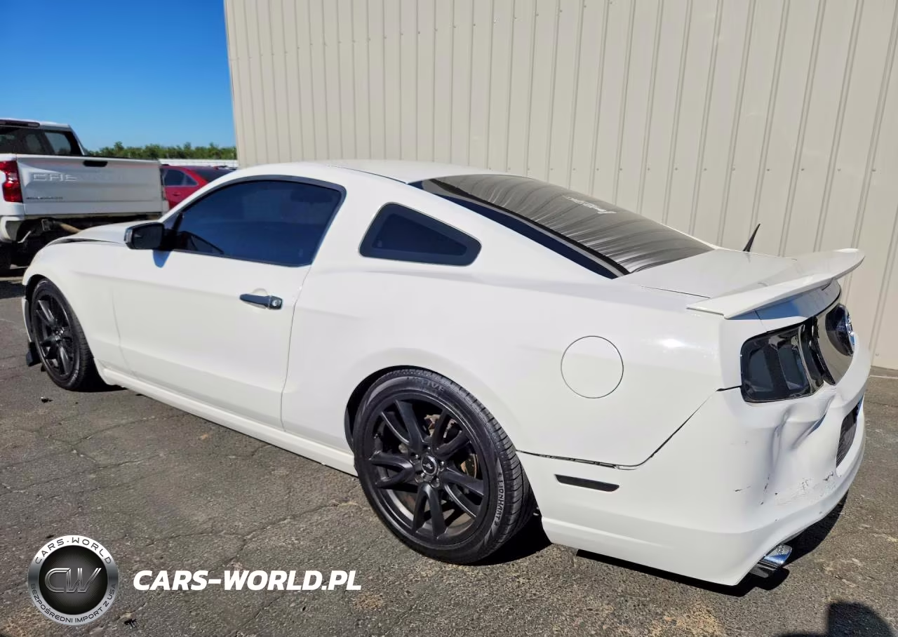 2013 Ford Mustang VIN:1ZVBP8AM2D5227233 - 2