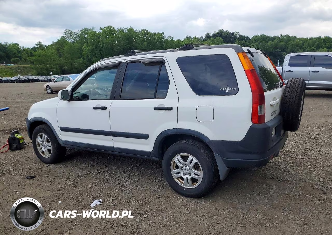 2004 Hond Cr-V VIN:JHLRD78894C036355 - 2