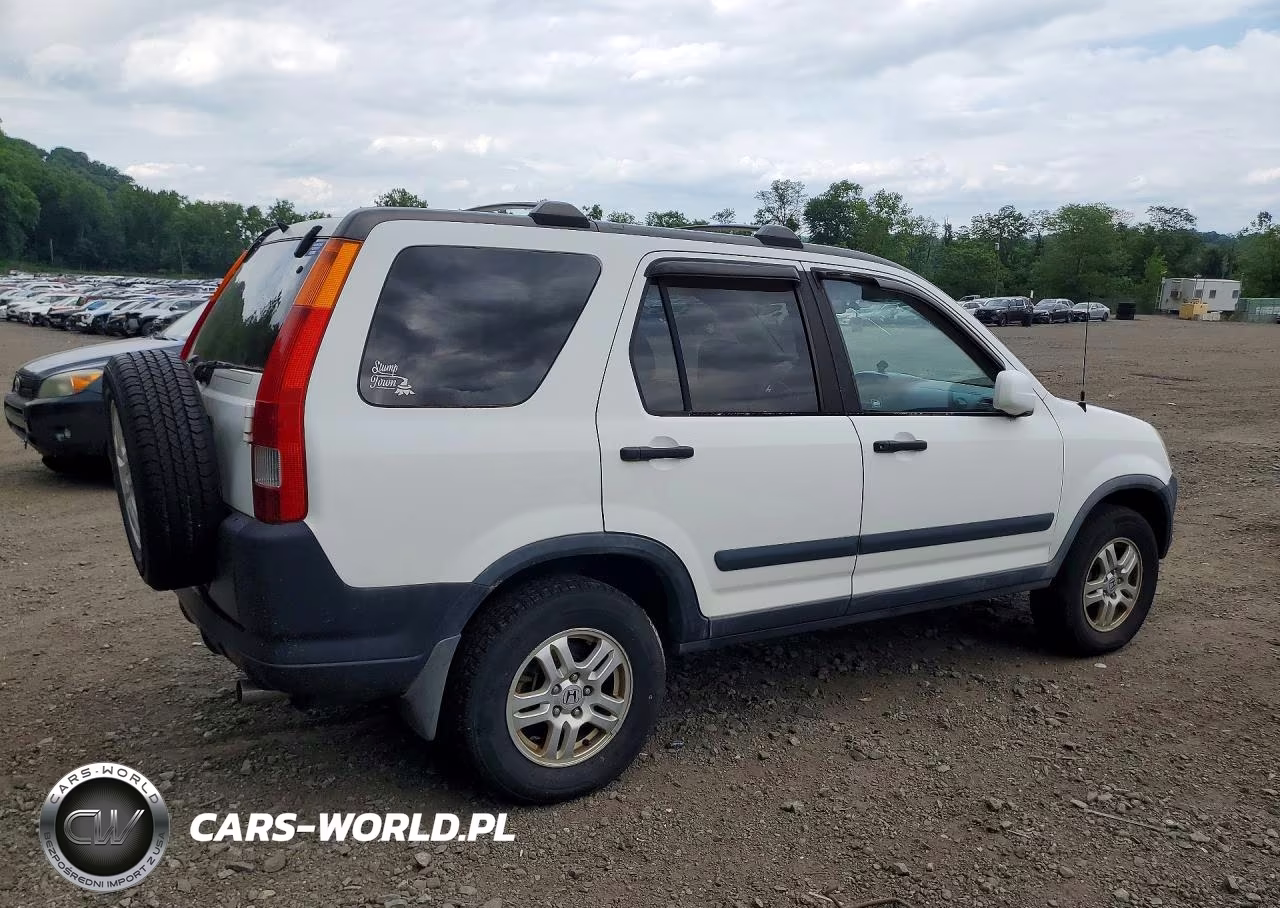 2004 Hond Cr-V VIN:JHLRD78894C036355 - 3