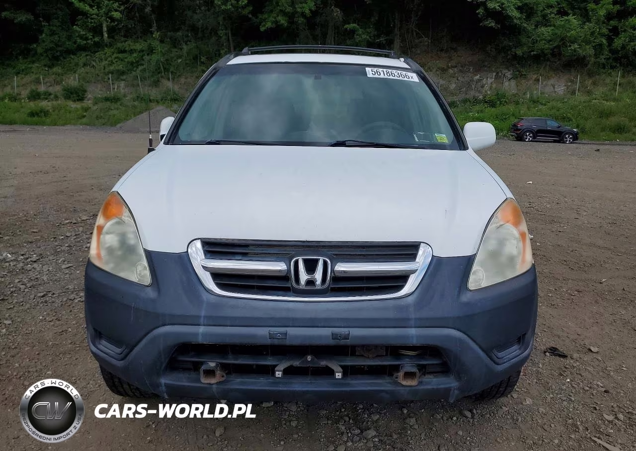 2004 Hond Cr-V VIN:JHLRD78894C036355 - 5