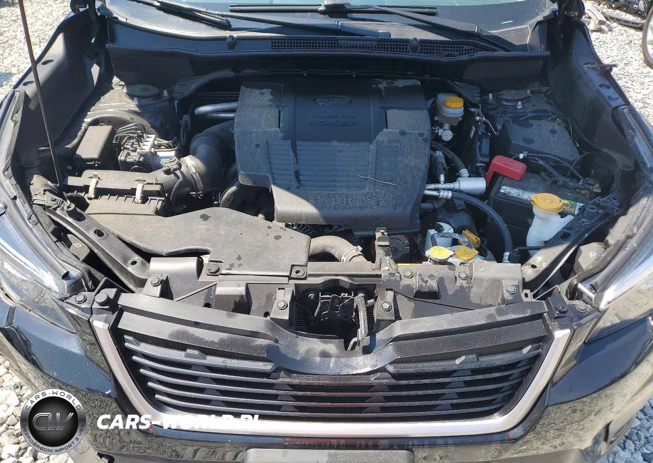 2019 Subaru Forester Premium VIN:JF2SKAGC6KH551600 - 11
