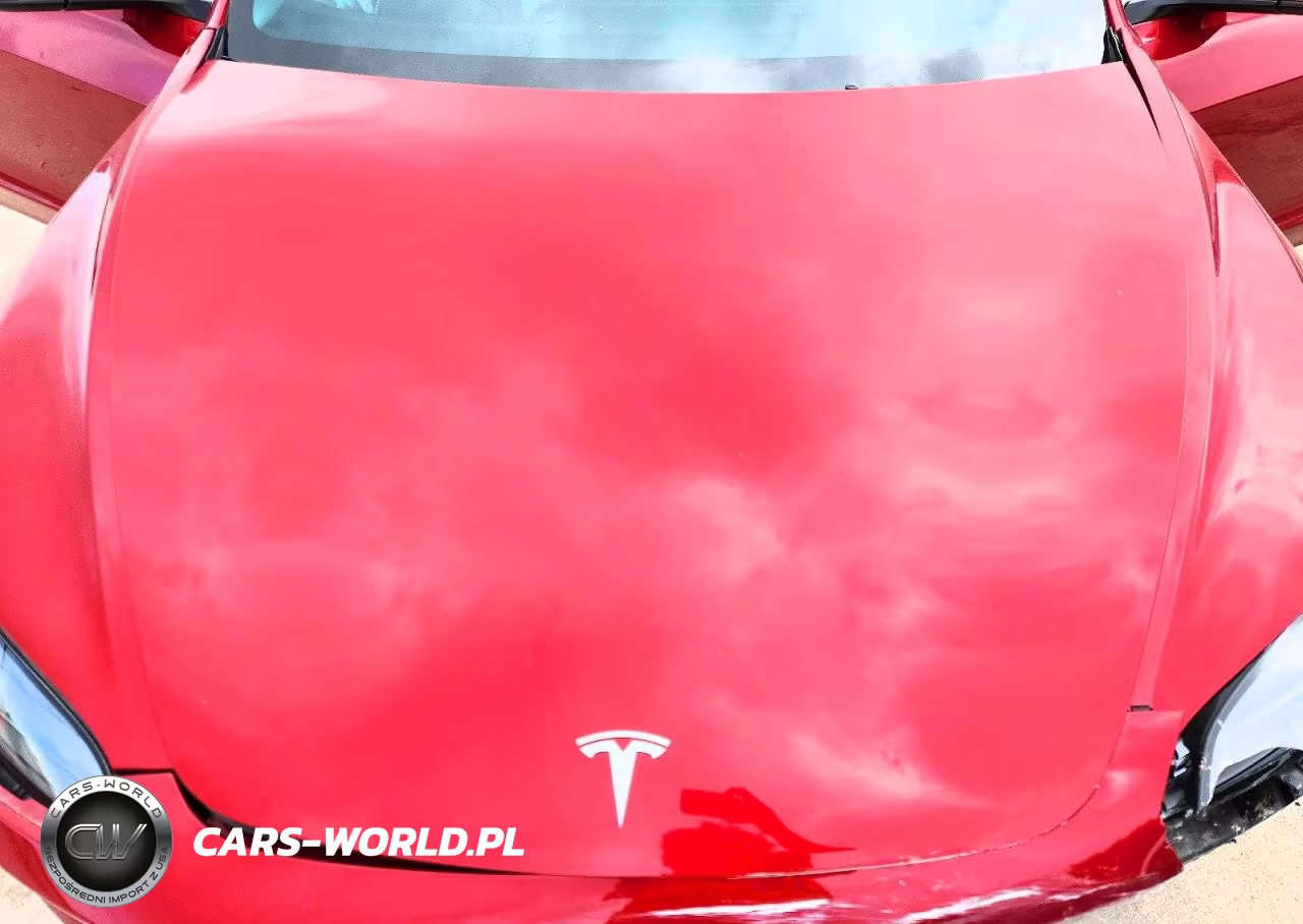 2024 Tesla Model 3 VIN:5YJ3E1ET5RF830219 - 11