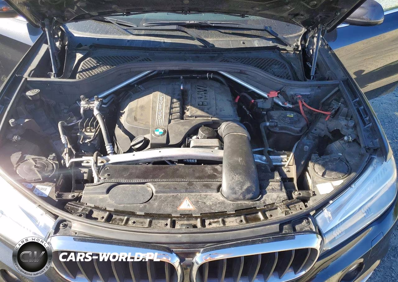 2015 BMW X5 VIN:5UXKR0C57F0P18299 - 12