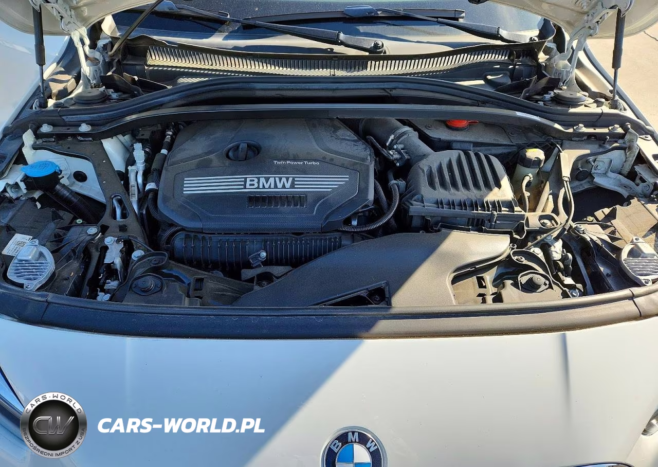 2021 BMW 228Xi VIN:WBA73AK08M7H36027 - 11