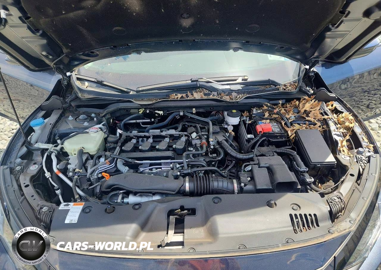2021 Honda Civic Ex VIN:19XFC1F30ME207266 - 11