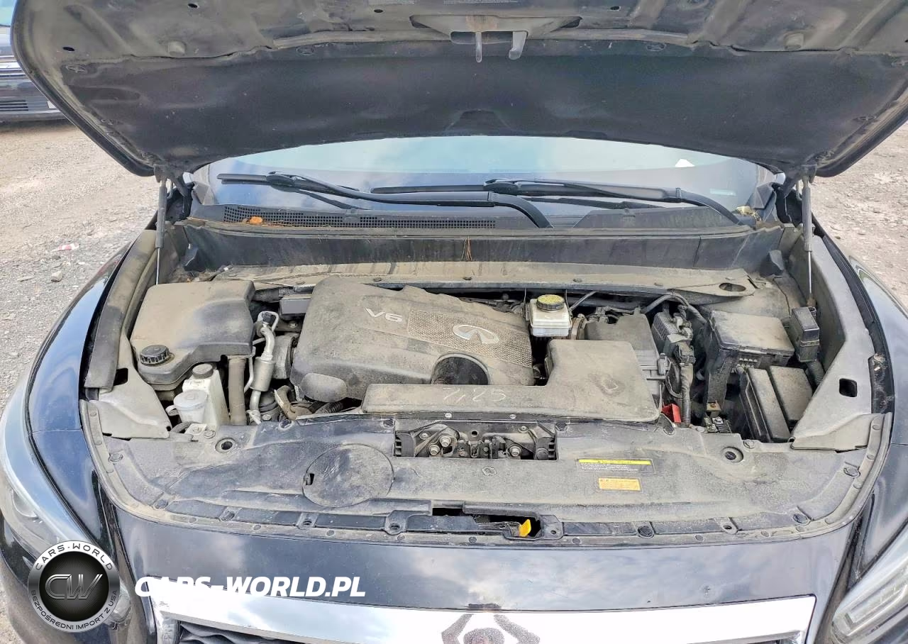 2019 Infiniti Qx60 Pure VIN:5N1DL0MN9KC551426 - 12