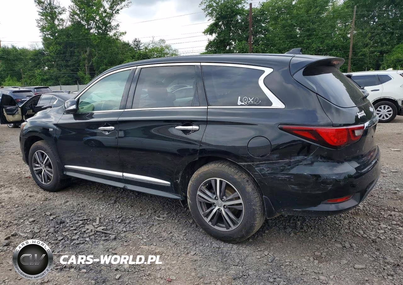 2019 Infiniti Qx60 Pure VIN:5N1DL0MN9KC551426 - 2