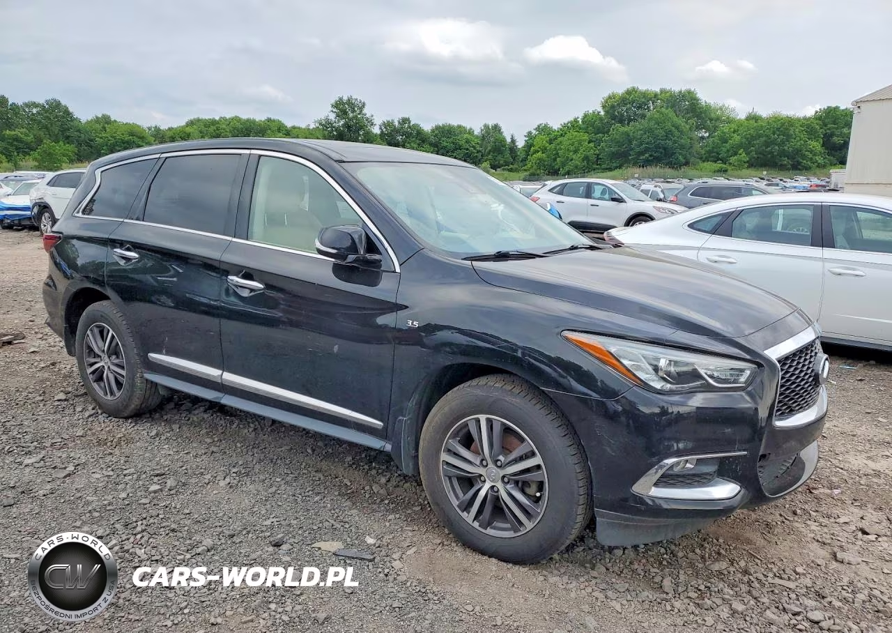 2019 Infiniti Qx60 Pure VIN:5N1DL0MN9KC551426 - 4