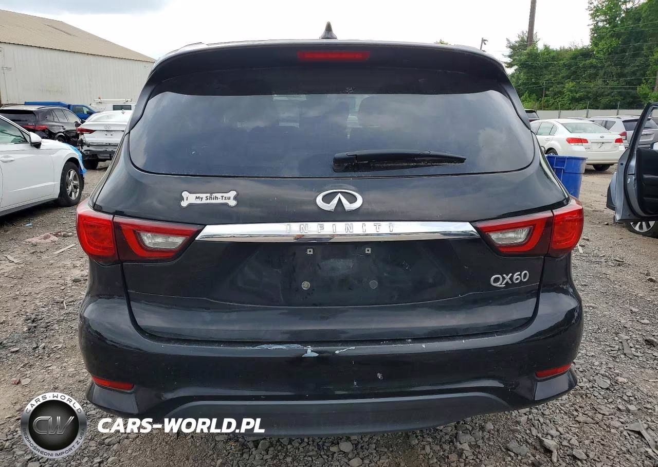 2019 Infiniti Qx60 Pure VIN:5N1DL0MN9KC551426 - 6
