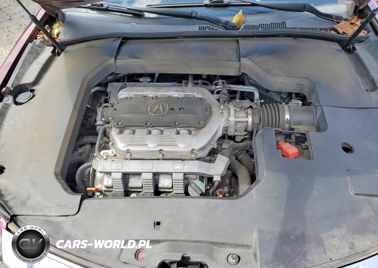 2009 Acura Tl VIN:19UUA86219A000961 - 11