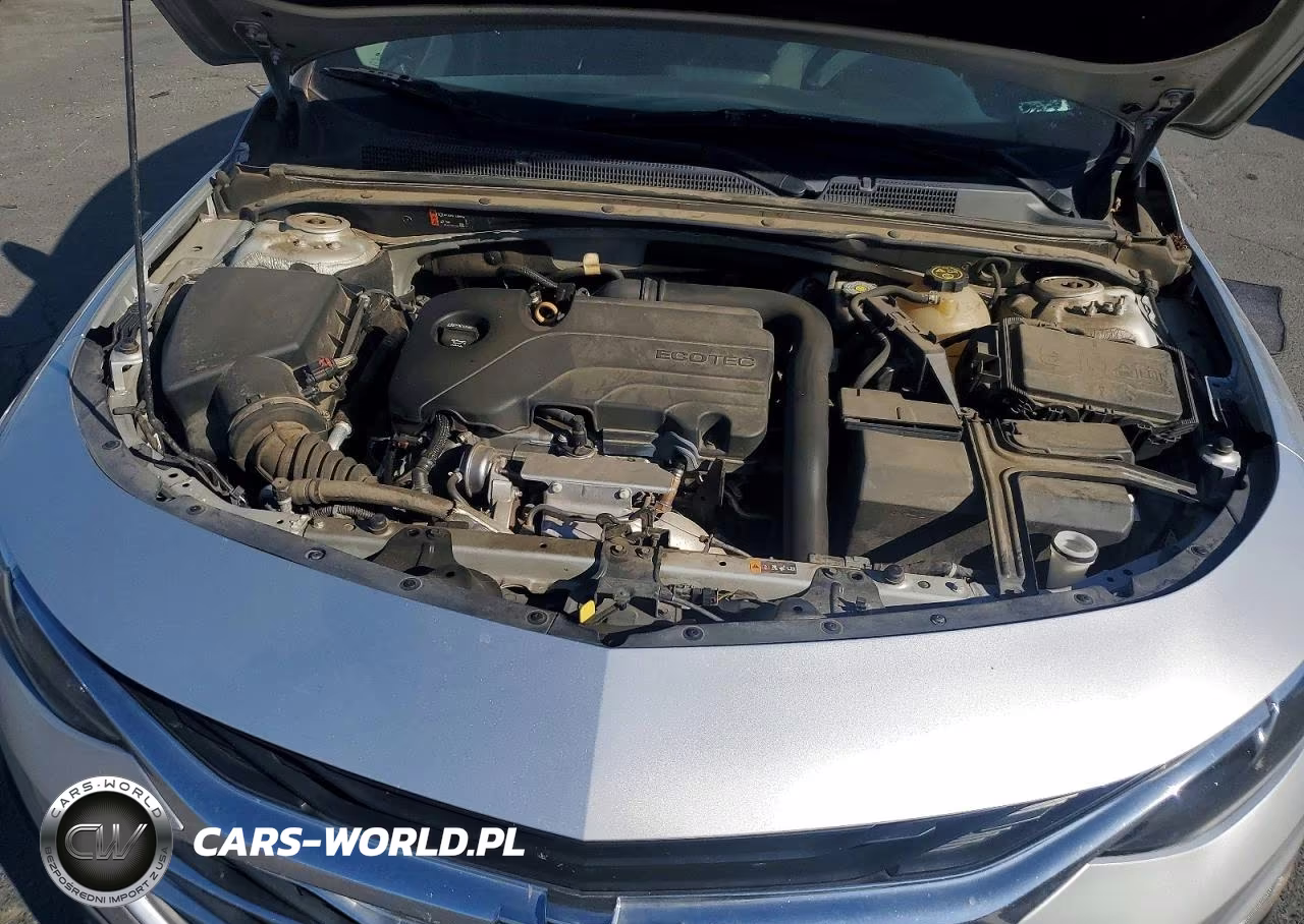 2019 Chevrolet Malibu Lt VIN:1G1ZD5ST0KF142065 - 11