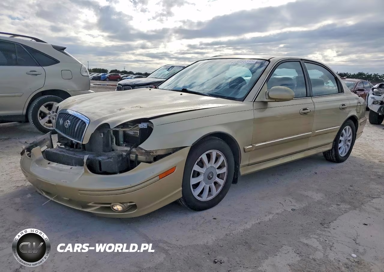 2004 Hyundai Sonata Gls