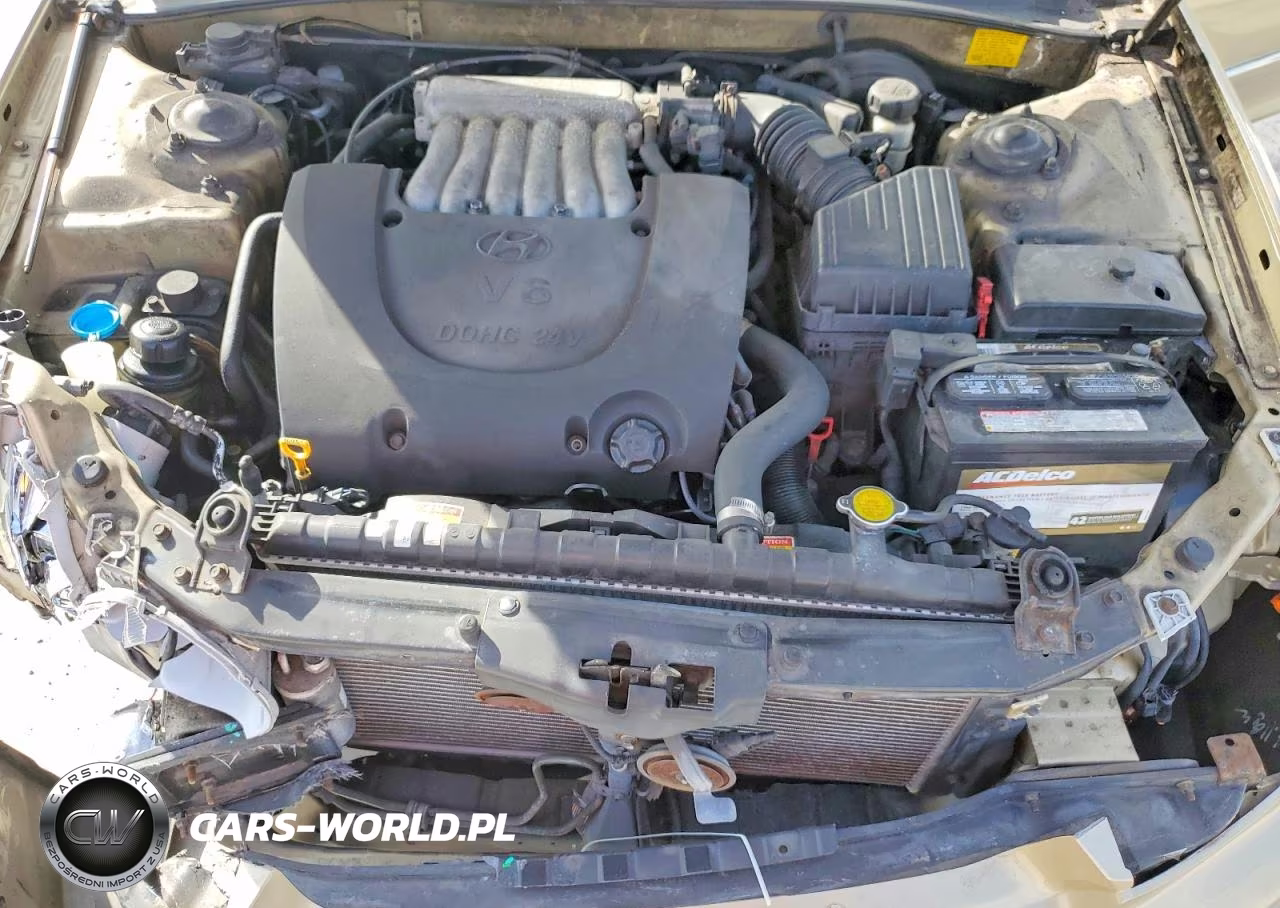 2004 Hyundai Sonata Gls VIN:KMHWF35H14A913449 - 11