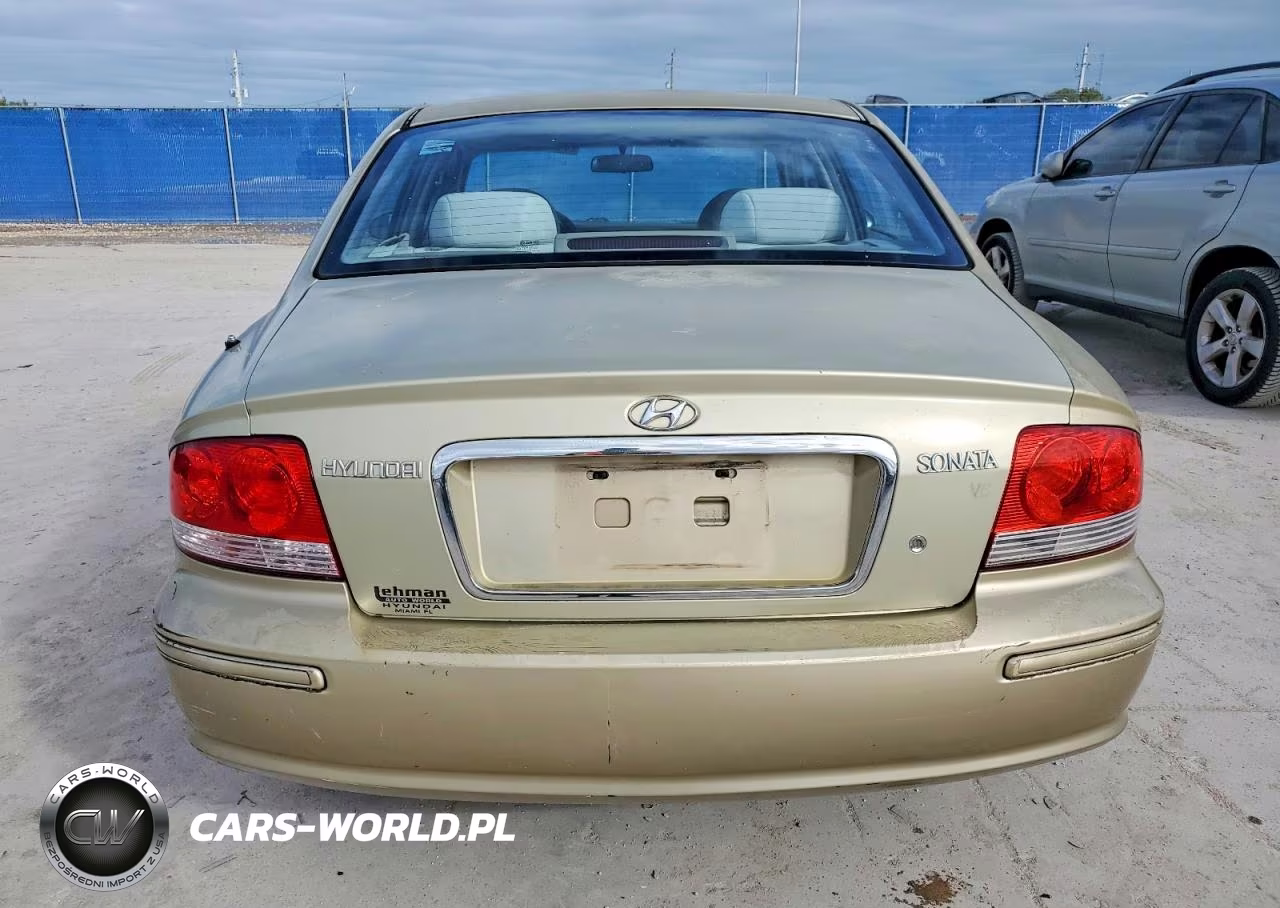 2004 Hyundai Sonata Gls VIN:KMHWF35H14A913449 - 6