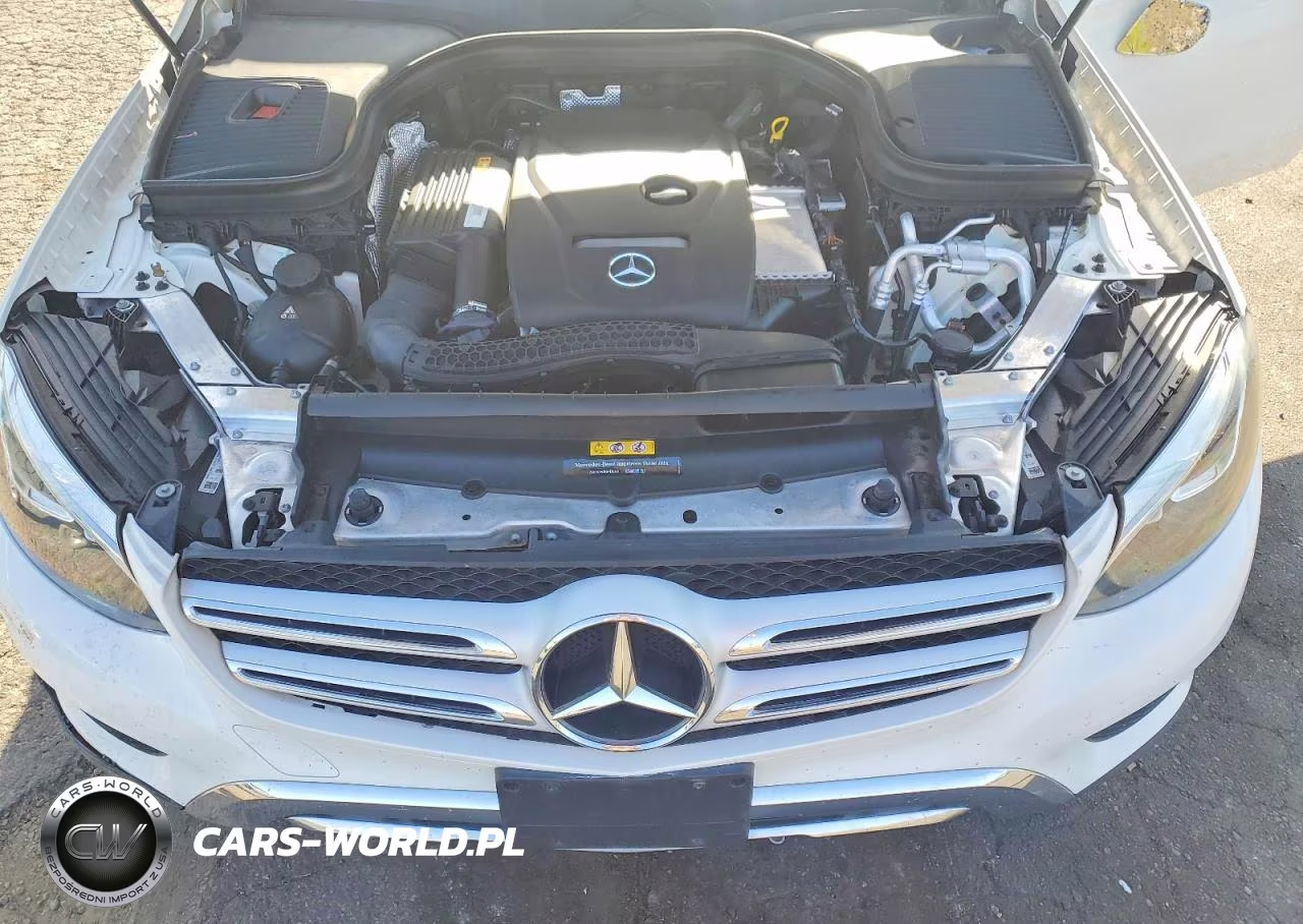 2019 Mercedes-Benz Glc 300 VIN:WDC0G4JB1K1000745 - 12