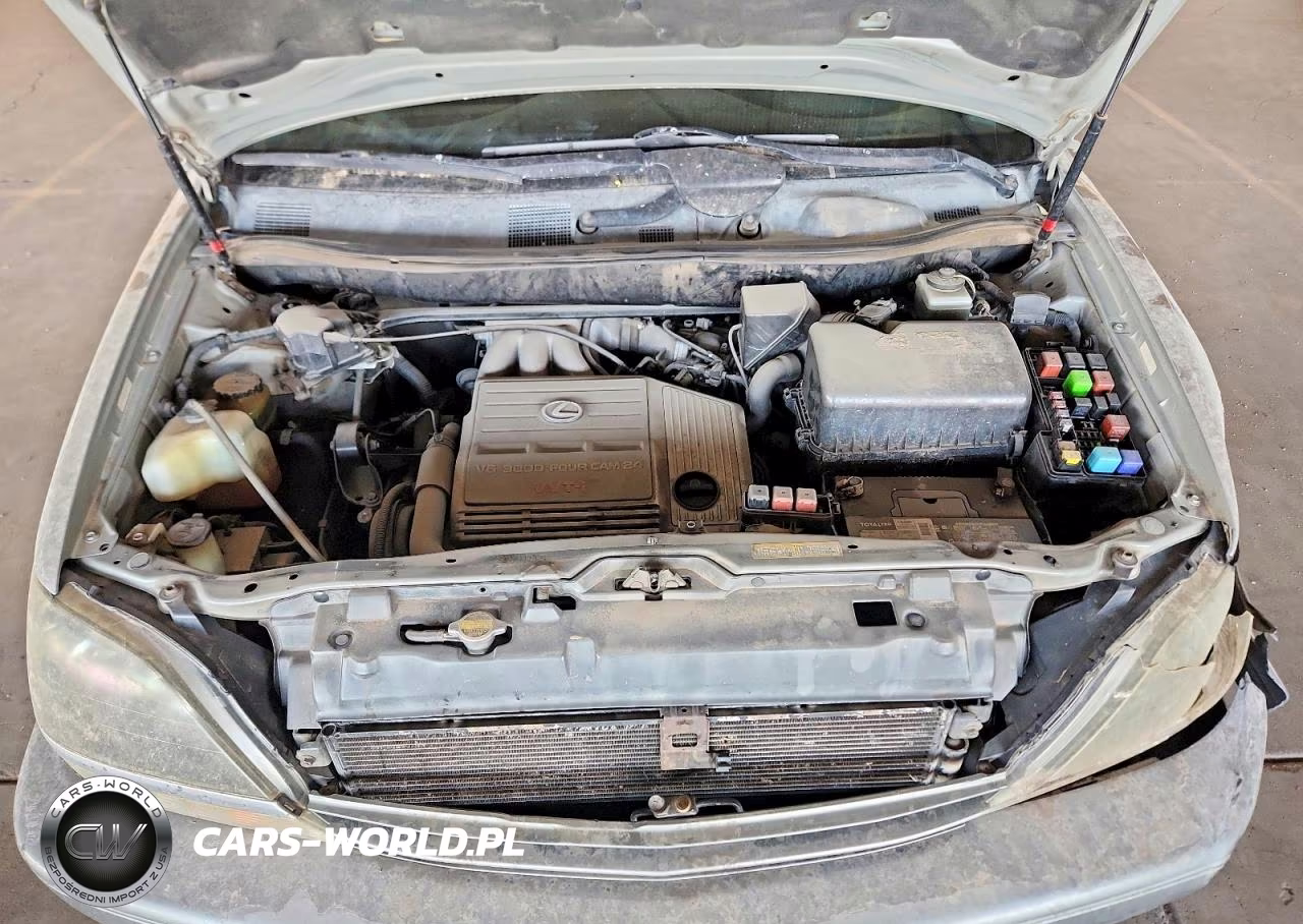 2000 Lexus Rx 300 VIN:JT6GF10U8Y0069236 - 12
