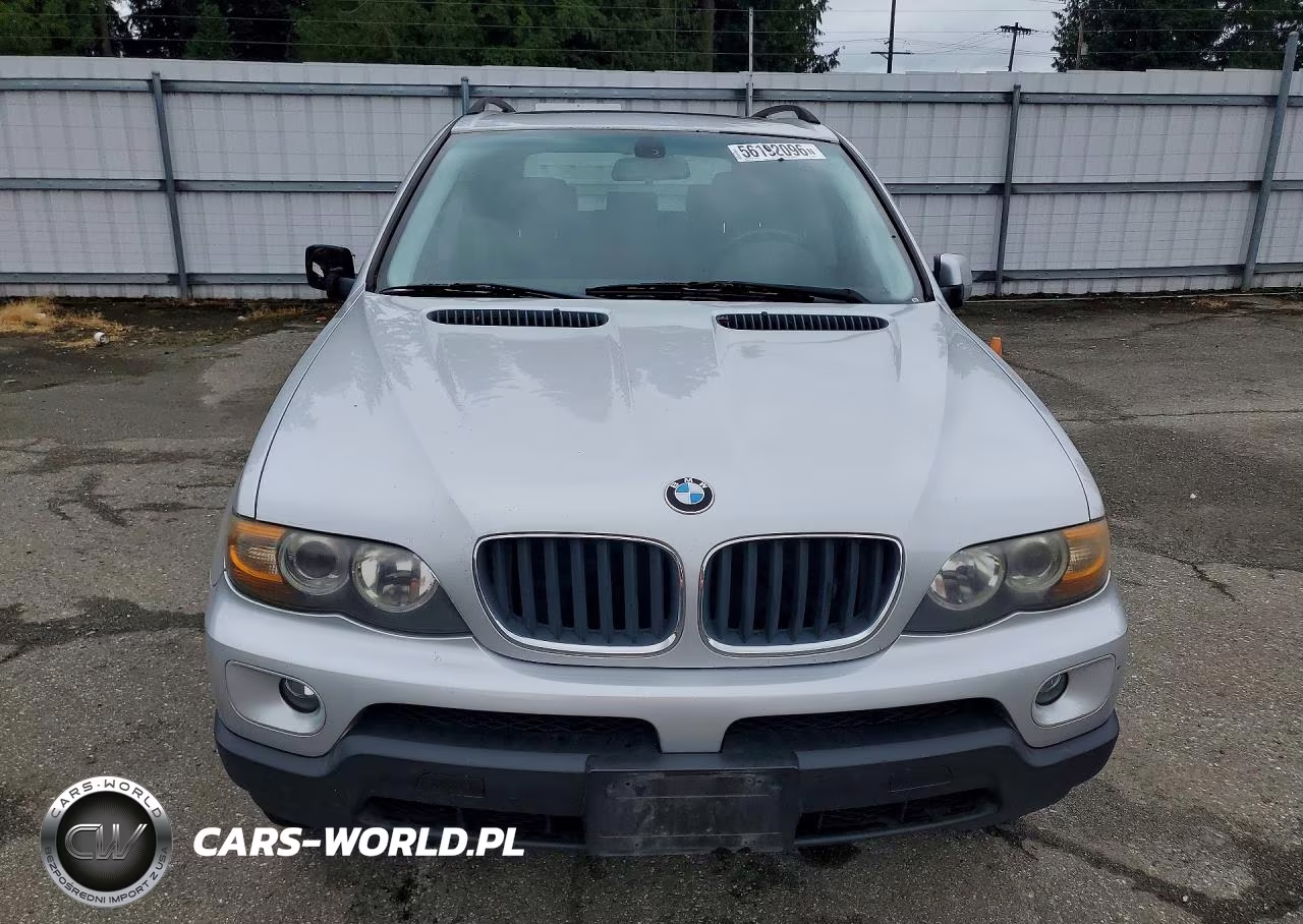 2006 BMW X5 3.0I VIN:5UXFA13596LY48372 - 5