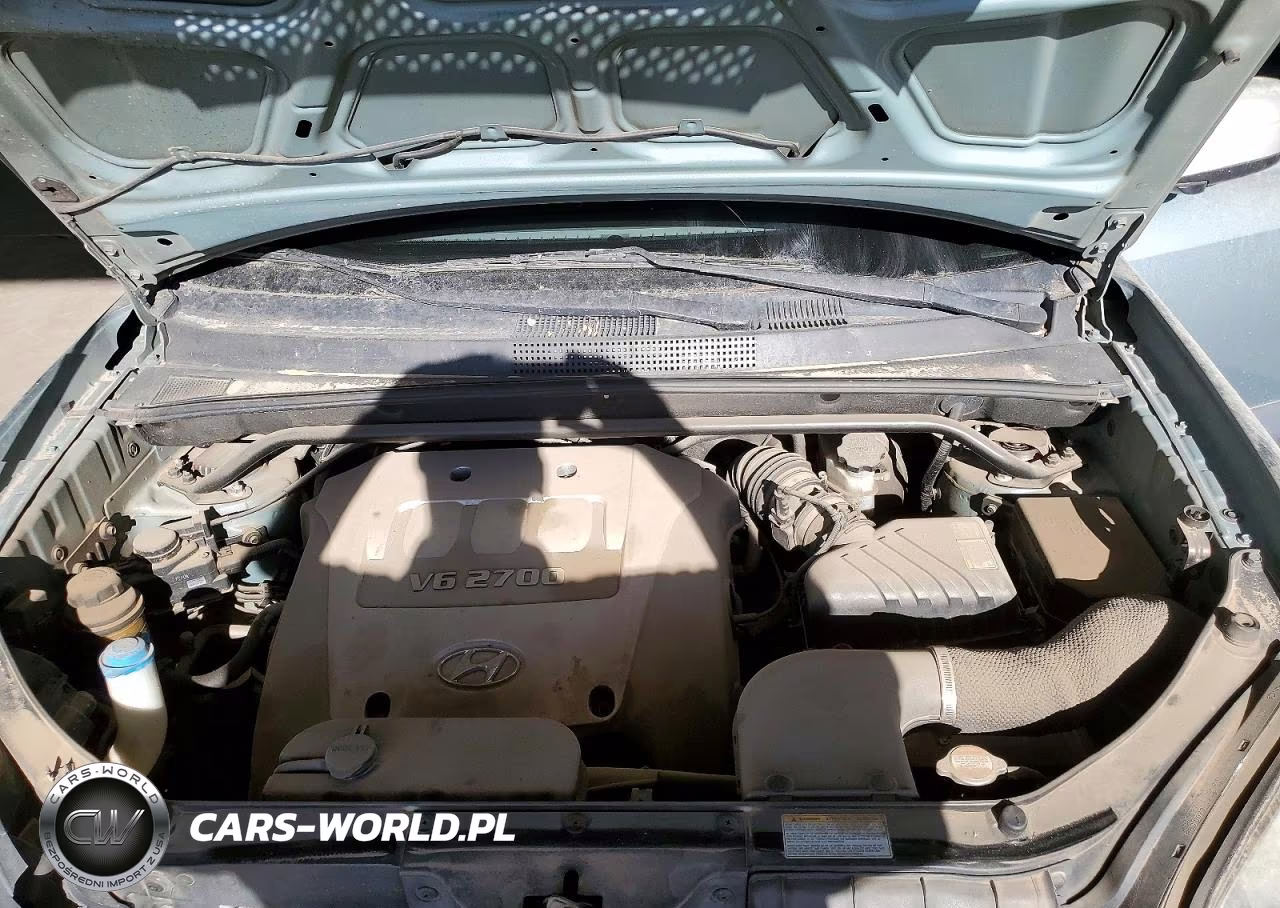 2005 Hyundai Tucson Gls VIN:KM8JN72D45U111158 - 11