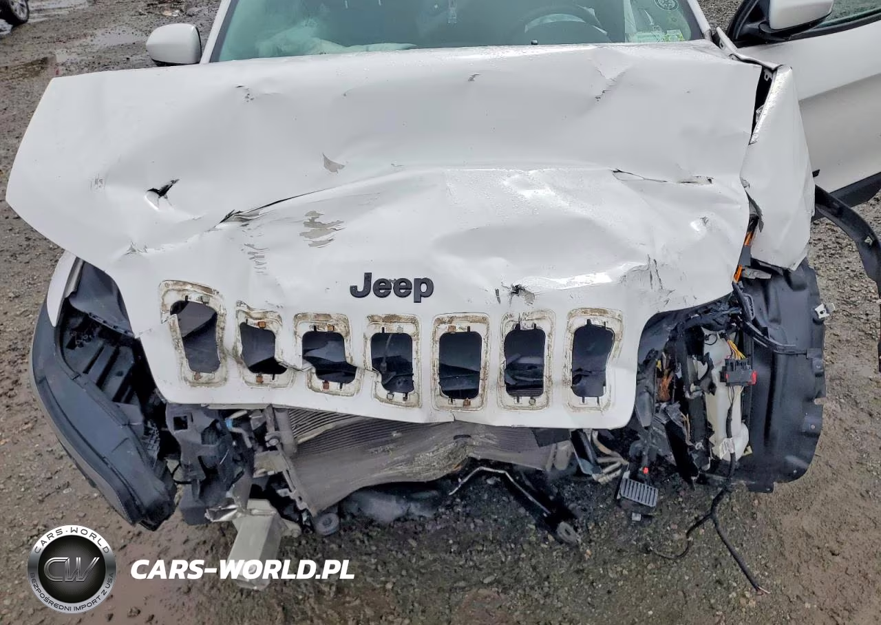 2019 Jeep Cherokee Latitude Plus VIN:1C4PJMLX3KD307105 - 12