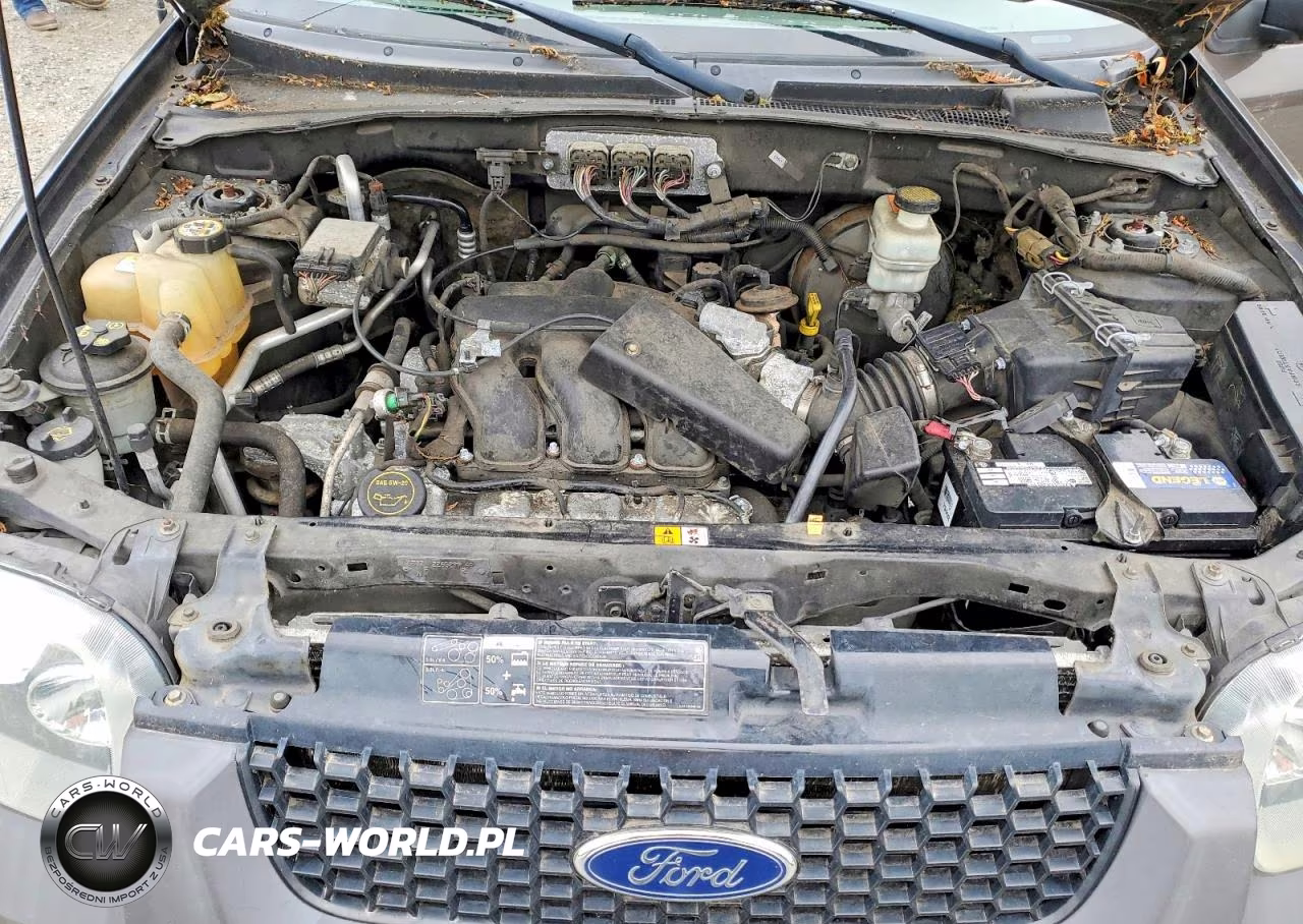 2006 Ford Escape VIN:1FMYU93196KC72538 - 12