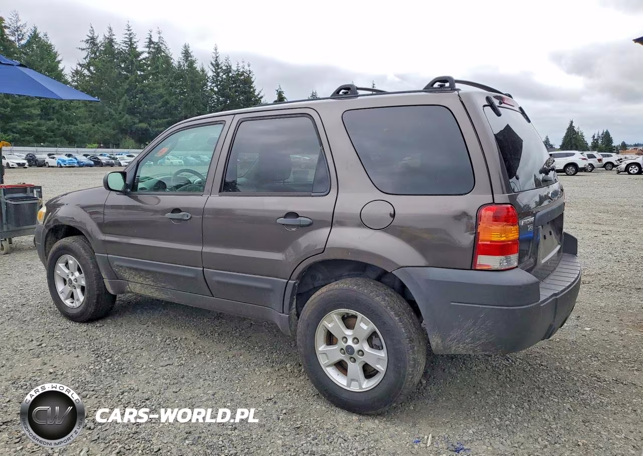 2006 Ford Escape VIN:1FMYU93196KC72538 - 2