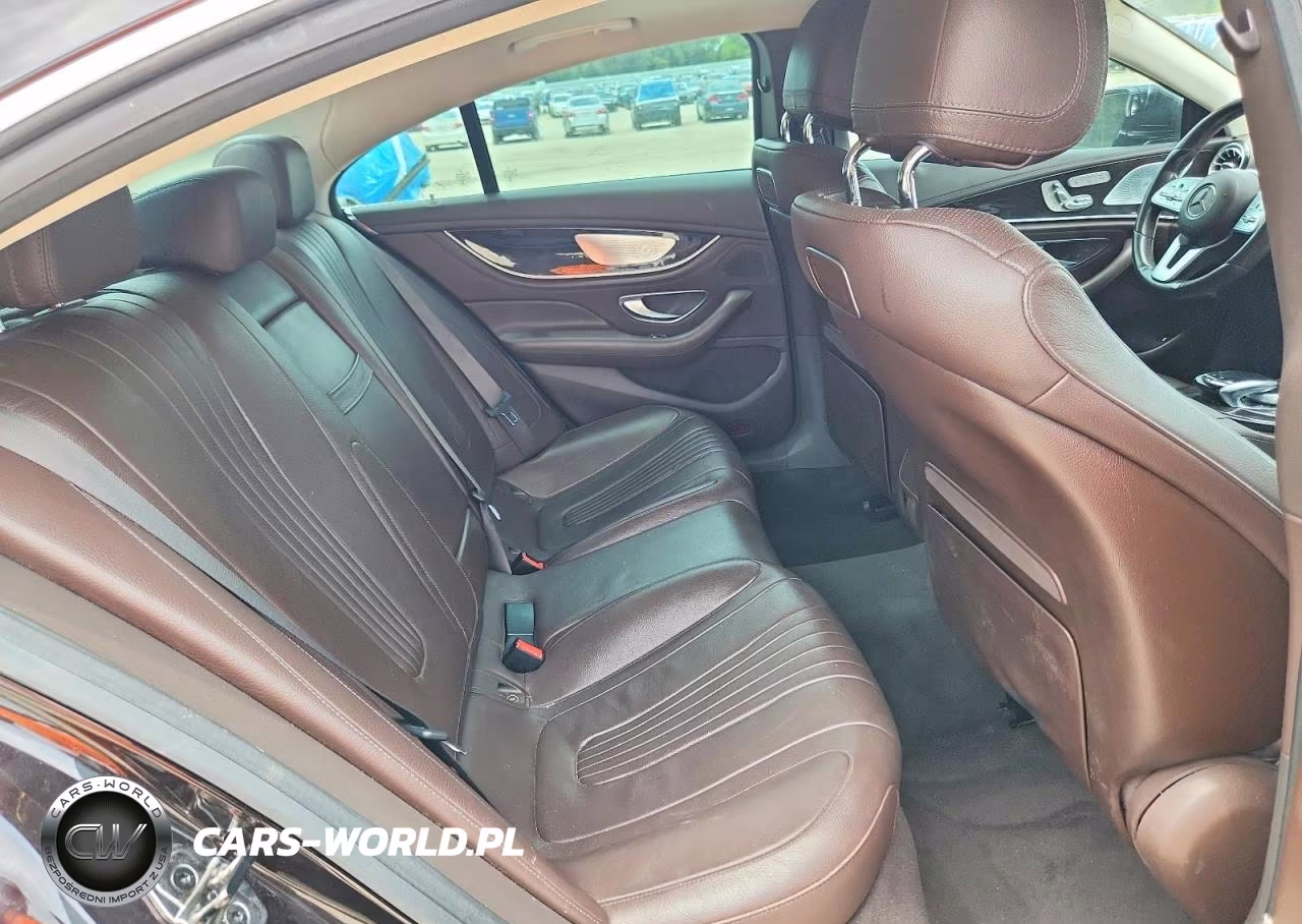 2019 Mercedes-Benz Cls 450 VIN:WDD2J5JBXKA044559 - 10