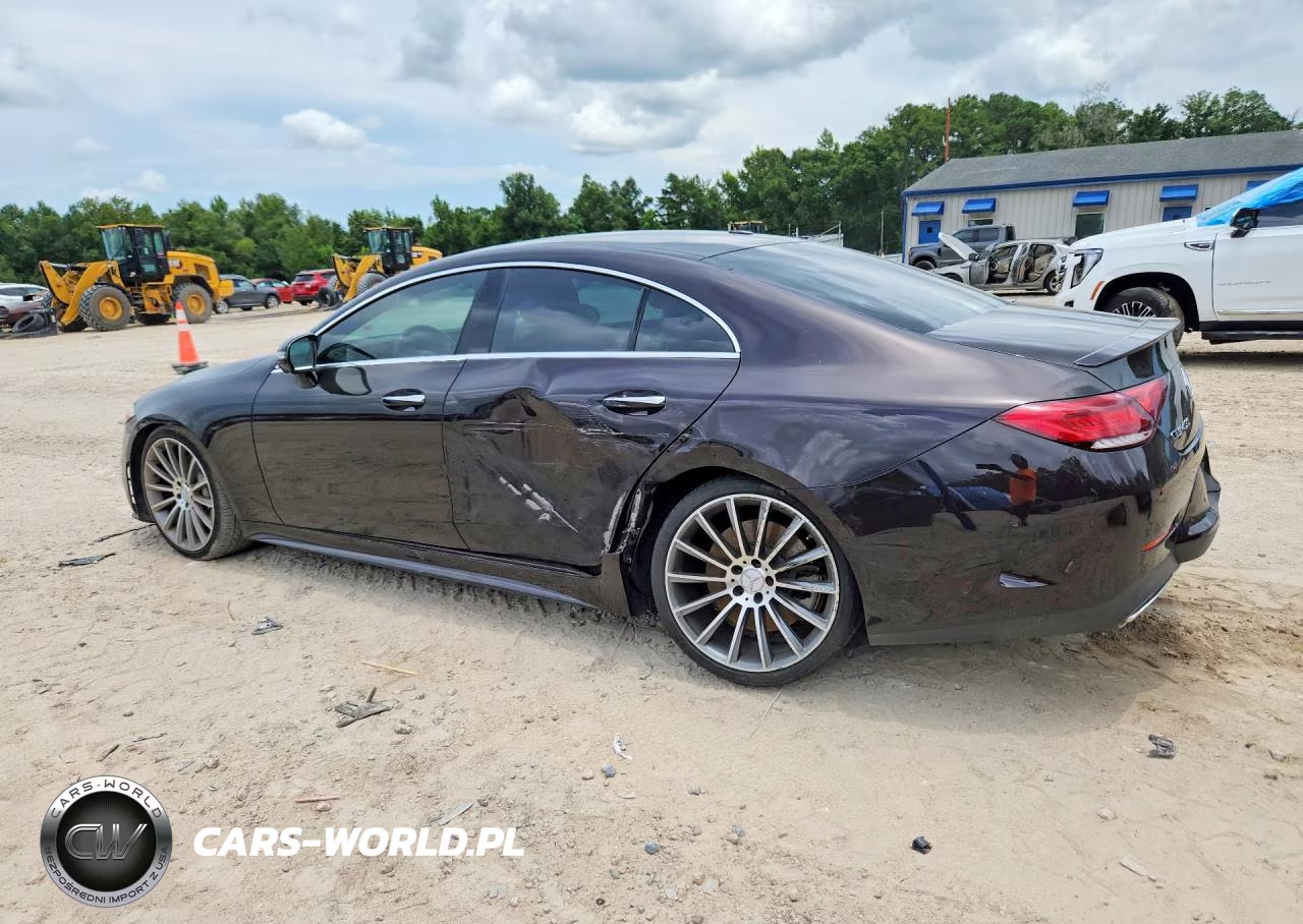 2019 Mercedes-Benz Cls 450 VIN:WDD2J5JBXKA044559 - 2