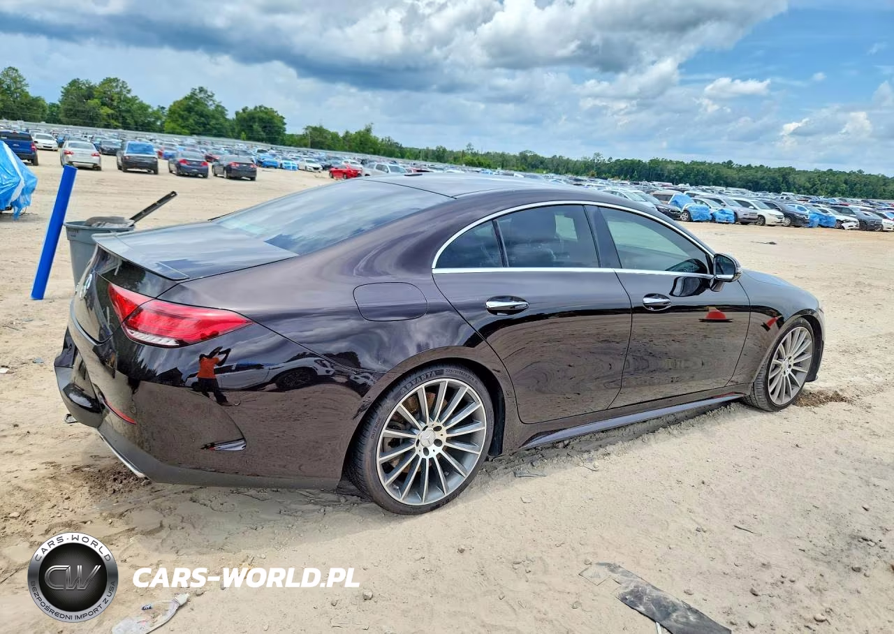 2019 Mercedes-Benz Cls 450 VIN:WDD2J5JBXKA044559 - 3