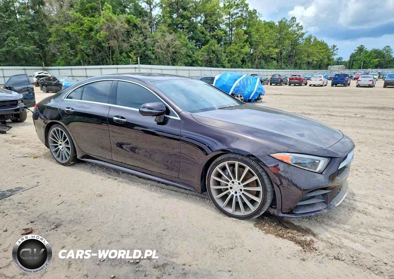 2019 Mercedes-Benz Cls 450 VIN:WDD2J5JBXKA044559 - 4